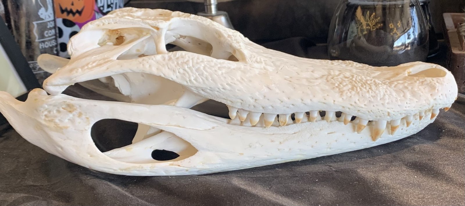 southernsaurian.com