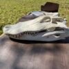 Alligator Skull