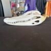 Real Alligator Skull – 10.5 Inch Display Specimen
