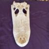 Real Alligator Skull – 12 Inch Display Specimen